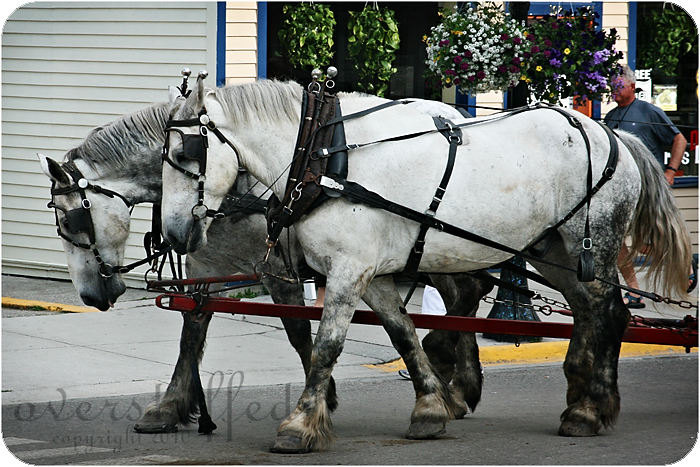 Girl Scout Trip to Mackinac Island