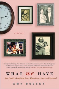 What We Have by Amy Boesky