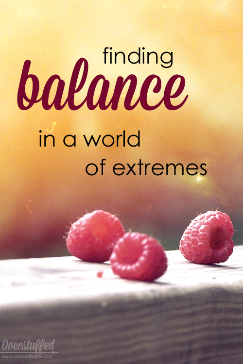 Finding Balance in a World of Extremes