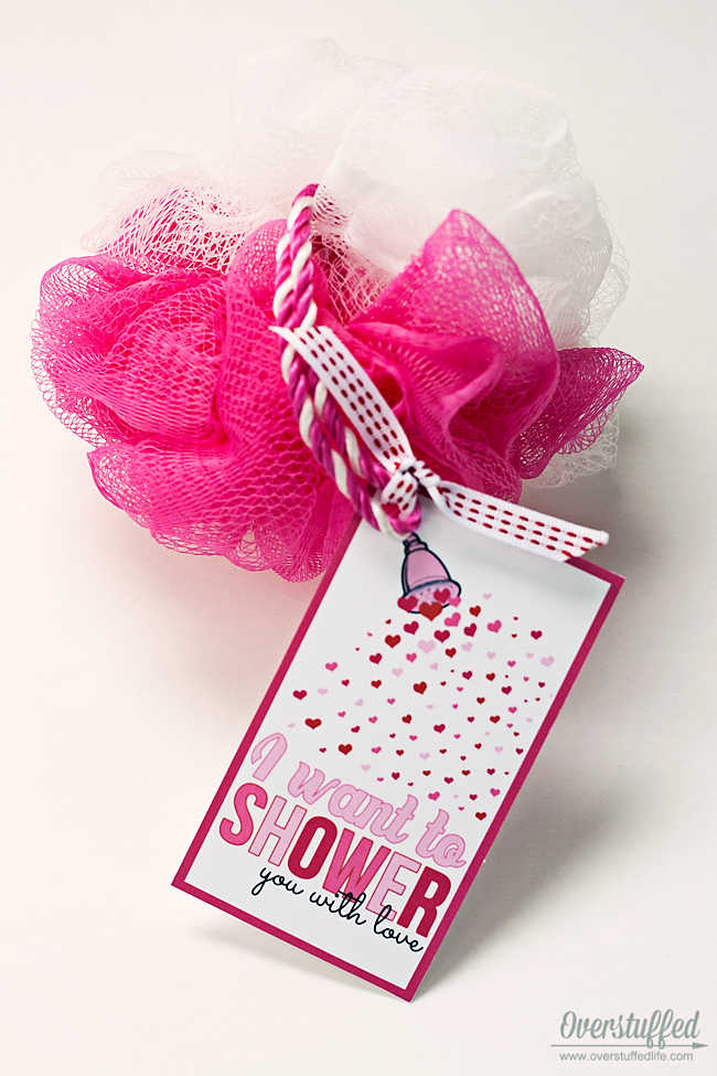 I Want to “Shower” You With Love Valentine’s Day Printable