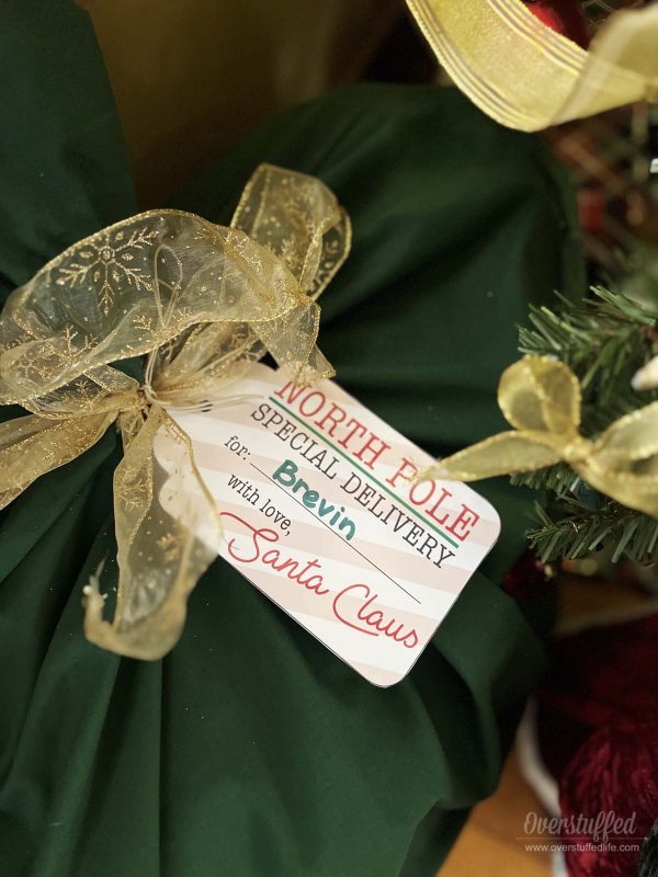 Delight Holiday Gift Tags